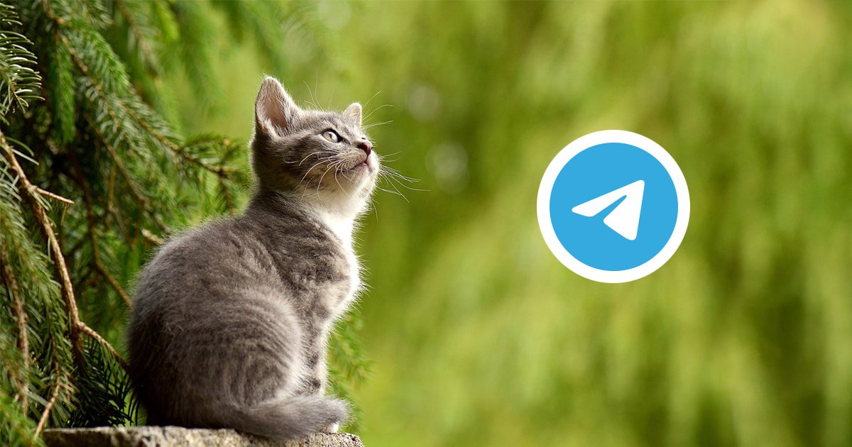 Telegram Login Widget,製作用 Telegram 登入功能